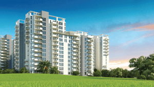 Ivy County Noida